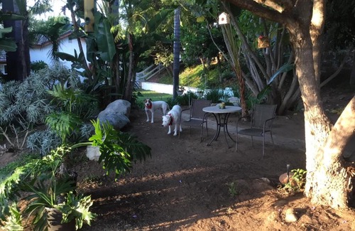 Fallbrook House | Beautiful new detached casita nestled in scenic southern CA foothills!