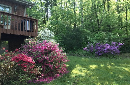 Franklin House | Beautiful private 2 bdrm apartment in a beautiful wooded setting