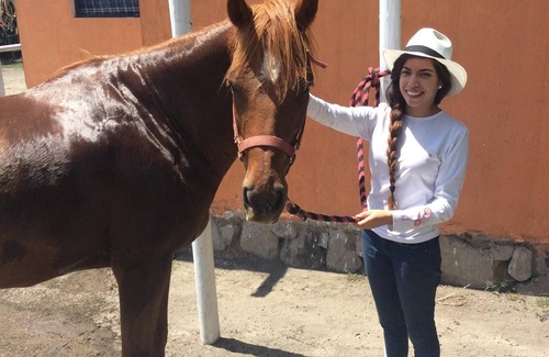Cotopaxi House | BEAUTIFUL RANCH FOR VACATIONS