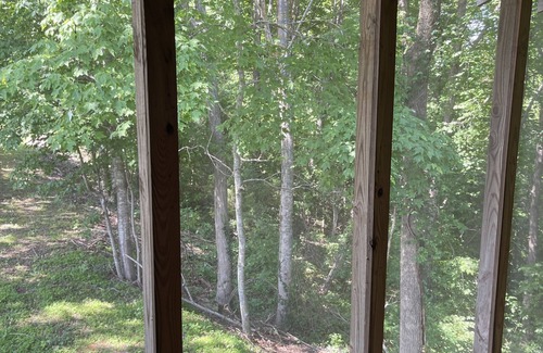 Baxter Cabin | Beautiful rustic cabin with loft! Huge Kitchen! On Center Hill Lake!