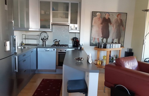 Grachtengordel-West Apartment | Beautiful, Sunny, 1 Bd, Apt in Ctr. w. Lift & Fireplace long term avail.