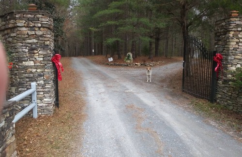 Rockmart Apartment | Becks Lake Studio n Fire Pit 3/4 mile to Silver Comet Trailnnear wedding venues