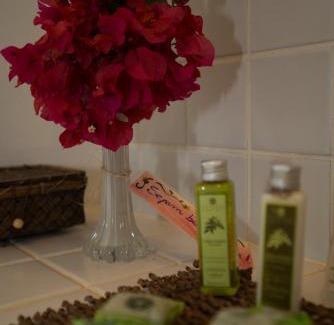 Floresta Velha Hotel | Beco Pousada Boutique