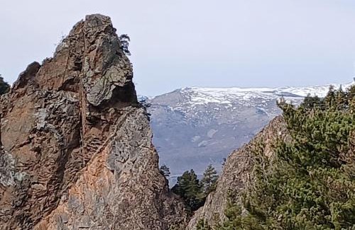 Amelie-les-Bains-Palalda Apartment | Bel F2 terrasse SUD à 5 min thermes