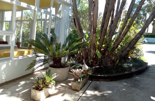 Berry House | BelAir - a mid century pad in the heart of Berry