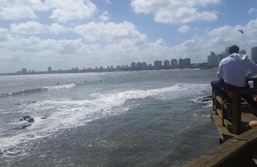 Cantegril Apartment | Bellagio Tower, Vista, Super confort, Punta del Este Uruguay