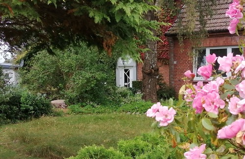 Klein Rheide Apartment | Benedict, Norbert - FeWo Benedict