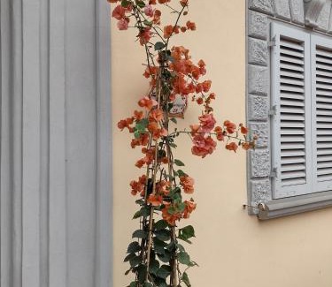 Prato Apartment | Bercos deluxe