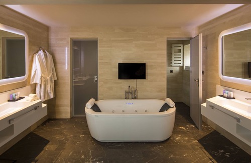 Chisinau Hotel | BERDS Hotel Chisinau - MGallery Collection