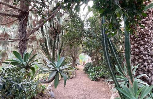 Los Gavilanes House | Bergfincahäuschen