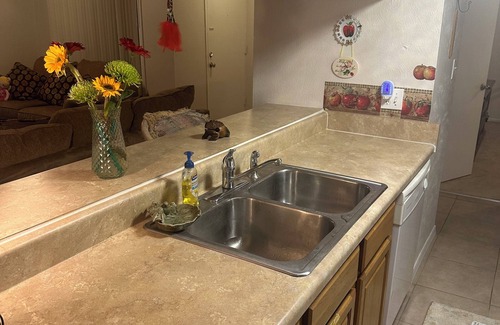 Broadwater Condo | Bermuda Bay Beach club -nSaint Petersburg, FloridanLiving the Dream!n