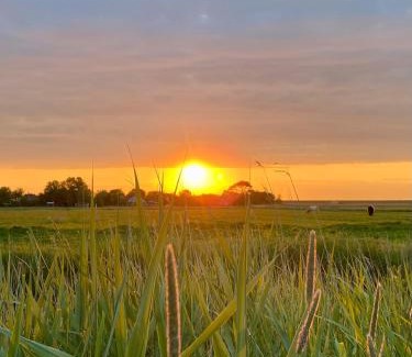 Westerhever Apartment | Bernstein