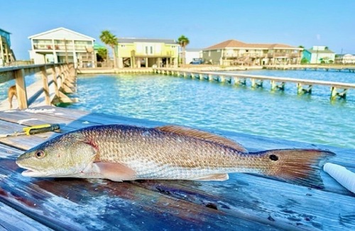 Rockport House | Best bang for your buck in town with luxury AND low nightly rates!