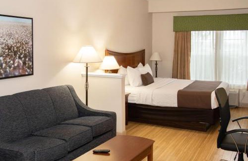 Lodi Hotel | Best Western I-5 Inn & Suites