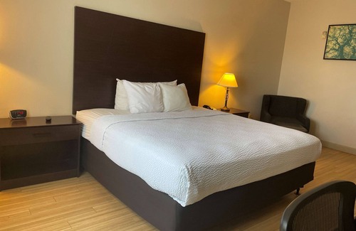 Lodi Hotel | Best Western I-5 Inn & Suites