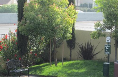 Moreno Valley Hotel | Best Western Moreno Hotel & Suites