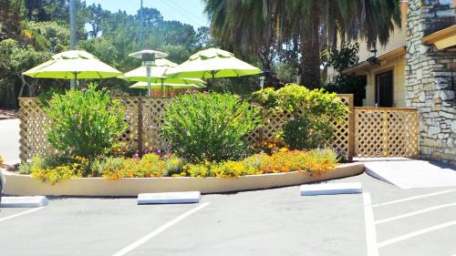 Munras Avenue Hotel | Best Western Park Crest Inn