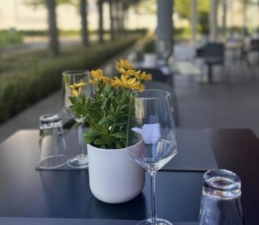 Brueggen Hotel | Best Western Plus Hotel Brueggen