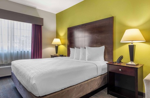 South Arlington Hotel | Best Western Plus Mansfield Inn & Suites