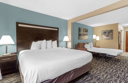 McDonough Hotel | Best Western Plus McDonough Inn & Suites