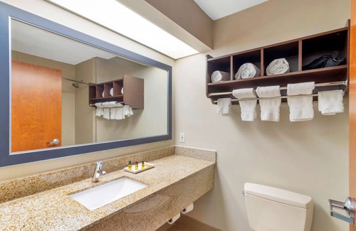 McDonough Hotel | Best Western Plus McDonough Inn & Suites