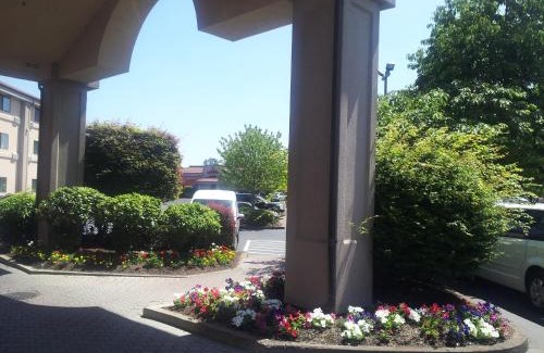 Southeast Salem Hotel | Best Western Plus Mill Creek Inn
