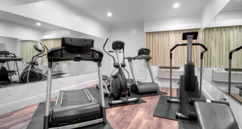 Downtown Hotel | Best Western Plus Palm Court Hotel