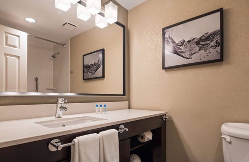 Hallandale Beach Hotel | Best Western Plus Hollywood/Aventura