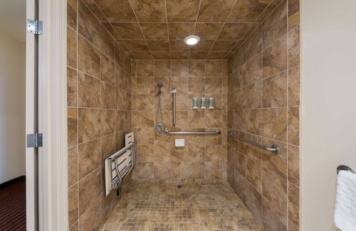 Salinas Hotel | Best Western Salinas Valley Inn & Suites