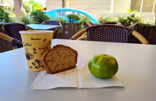 Haifa Hotel | Beth-Shalom