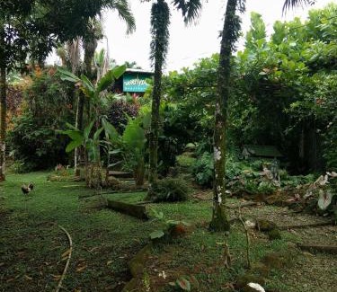 Isla Bastimentos Hotel | Beverly's Hill Guest House