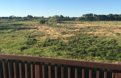 Rigby House | Big home on 8 acres of property