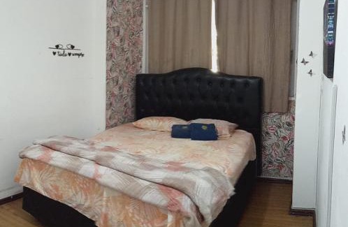 Meier Apartment | Big Place