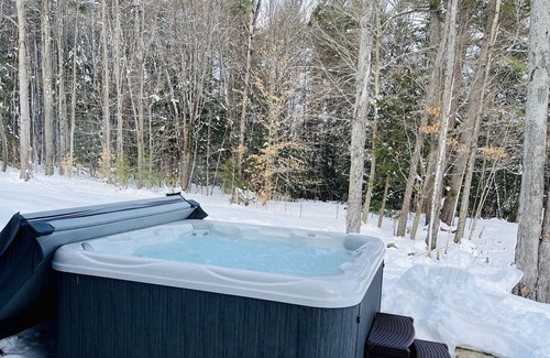 New London House | BigBear Lodge - Mt Sunapee/Hot Tub/Firepit - Family Friendly!