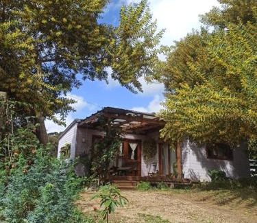 La Pedrera House | Bilú