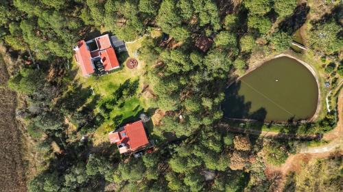 San Miguel Regla House | BIMBA en el corazón del bosque, Huasca