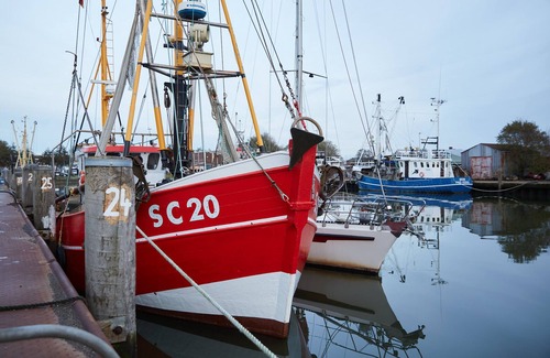 Busum Apartment | Binnendiek Resort Büsum Haus 2 Comfort - Apartment 7