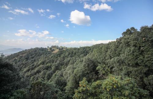 Binsar Cabin | Binsar Forest Retreat
