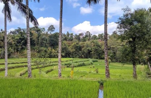 Kecamatan Pringgasela House | Bintang Homestay