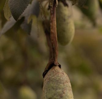 Tausa Cabin | Biofilia Colombia