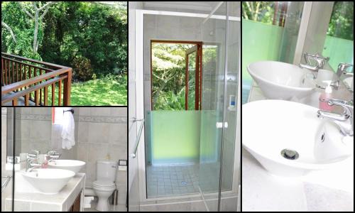 uMlalazi Bed & Breakfast | Birds of Paradise B&B