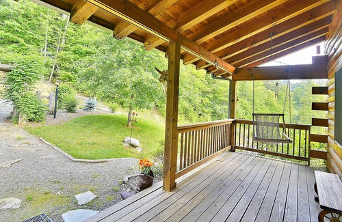 Clyde Cabin | Bison Overlook Lodge. on a 65 Acre Bison Ranch!