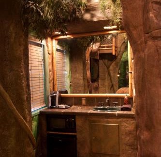 Pocatello Hotel | Black Swan Inn Luxurious Theme Rooms