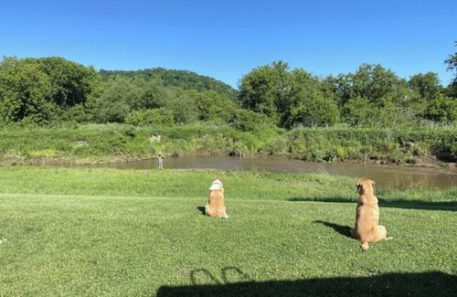 Viroqua RV Rental | Blakley Hobbit Campground-Tent spot #10