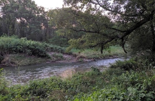 Viroqua RV Rental | Blakley Hobbit Campground-Tent spot #10