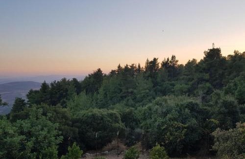 Amirim Cabin | Bloom's Studio הסטודיו של בלום