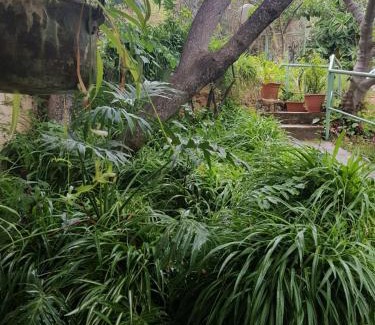 Amirim Cabin | Bloom's Studio הסטודיו של בלום