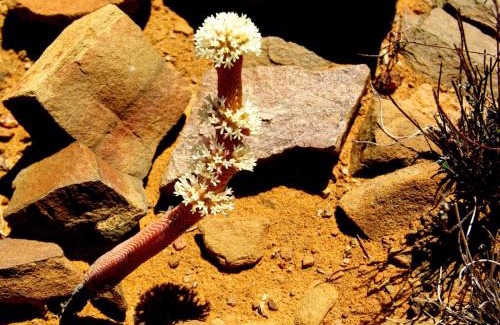 Laingsburg Apartment | Bloukrans Klein-bewarea Guest Farm