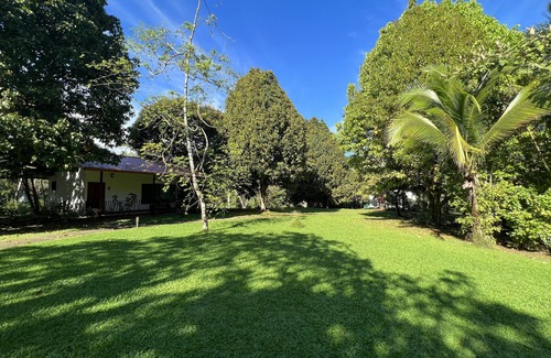 Quepos Cottage | Blue Banyan Inn