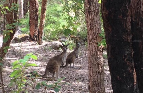 Denmark House | Blue House Denmark
